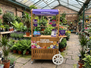 ecofective Promotional Cart.